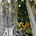 Exklusives Naturjuwel - Kuehbartl Simmerl * Oberhaag