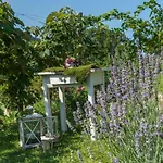 Holiday home Exklusives Naturjuwel - Kuehbartl Simmerl *