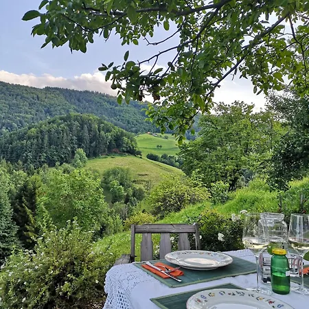 Tatil Evi Exklusives Naturjuwel - Kuehbartl Simmerl