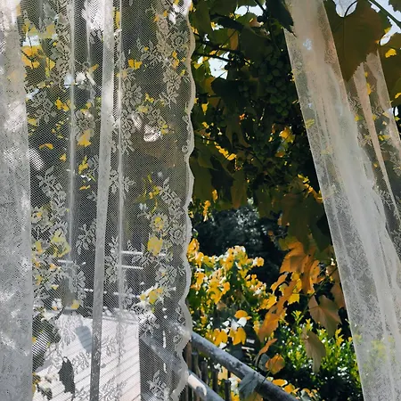 Kühbartl Simmerl * Oberhaag