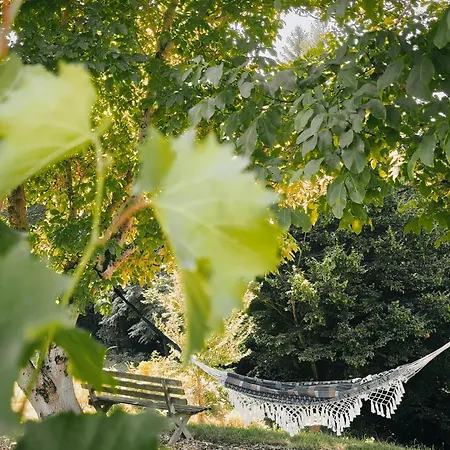 Exklusives Naturjuwel - Kuehbartl Simmerl Holiday home *