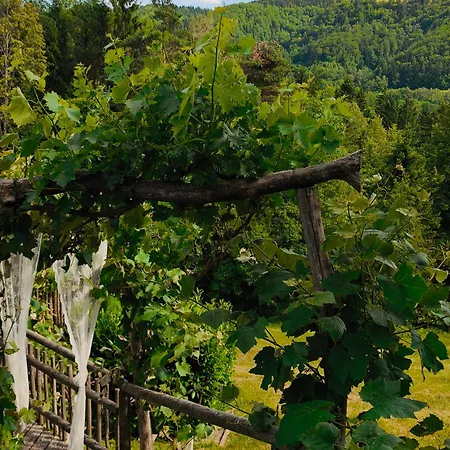 Exklusives Naturjuwel - Kuehbartl Simmerl Vakantiehuis *