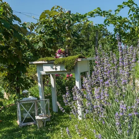 Tatil Evi Exklusives Naturjuwel - Kuehbartl Simmerl *