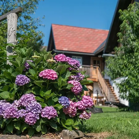 Exklusives Naturjuwel - Kuehbartl Simmerl Vakantiehuis Oberhaag