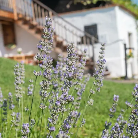 Exklusives Naturjuwel - Kuehbartl Simmerl Oberhaag