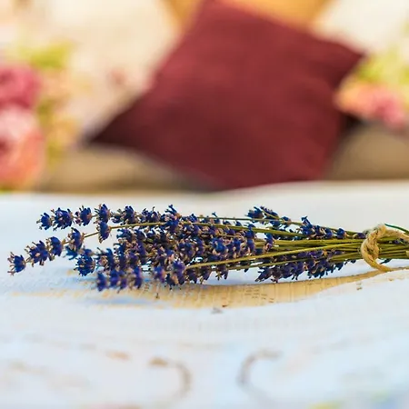 Exklusives Naturjuwel - Kuehbartl Simmerl 度假居 *