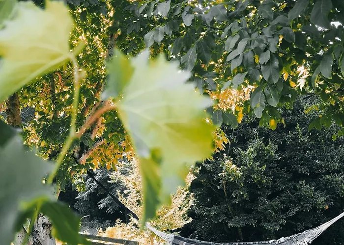 Exklusives Naturjuwel - Kuehbartl Simmerl Oberhaag