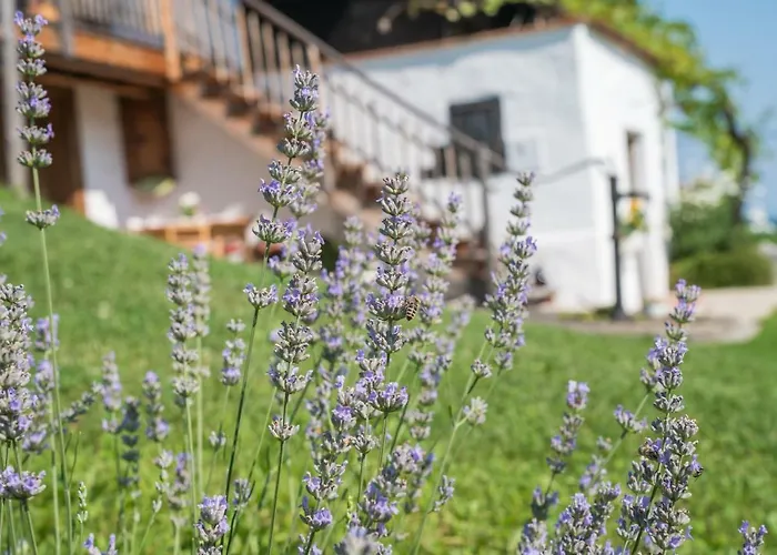 Exklusives Naturjuwel - Kuehbartl Simmerl Oberhaag