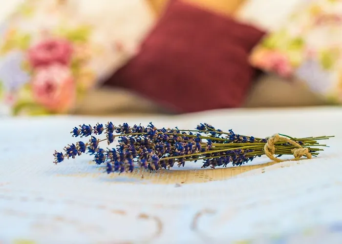 Kühbartl Simmerl Ferienhaus *